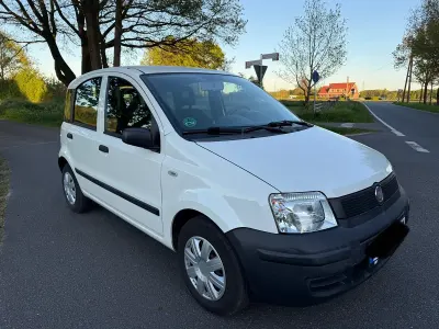 Brugt Fiat Panda 55 HK (40 kW) 2009 Hvid Hatchback