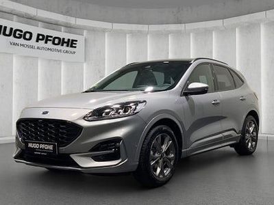 Usata Ford Kuga ST-Line X 150 CV (110 kW) 2024 Argento SUV