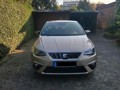 Gebraucht Seat Ibiza XCELLENCE 116 PS (85 kW) 2018 Violet Kleinwagen