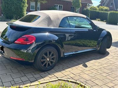 VW Beetle