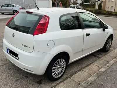 Gebraucht Fiat Punto 65 PS (47 kW) 2009 Weiß Kleinwagen