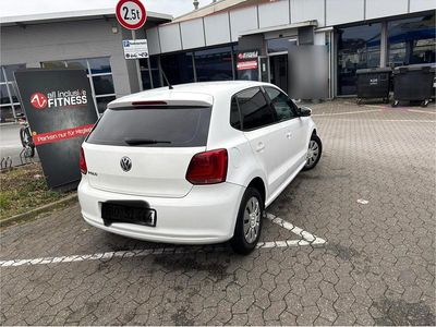 VW Polo