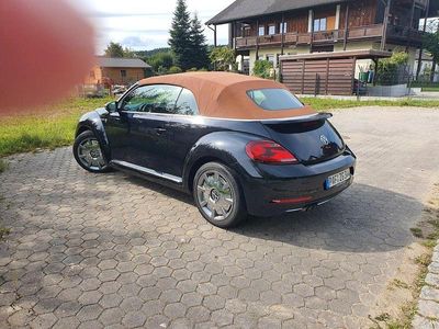 VW Beetle
