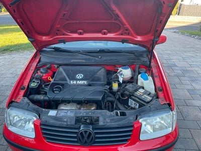 VW Polo