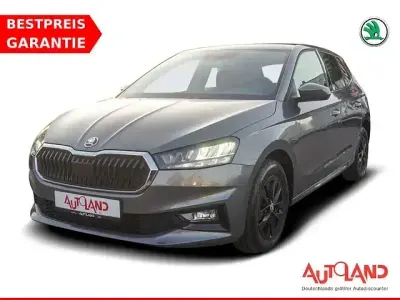 Gebraucht Skoda Fabia Style 110 PS (80 kW) 2021 Grau Kleinwagen