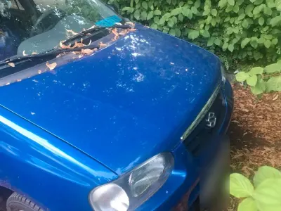 Gebraucht Suzuki Alto