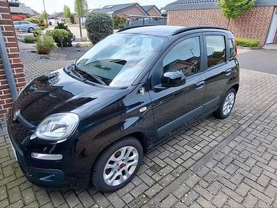 Gebraucht Fiat Panda 86 PS (63 kW) 2013 Schwarz Kleinwagen
