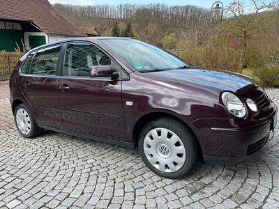 Gebraucht VW Polo Comfortline 64 PS (47 kW) 2004 Violet Kleinwagen