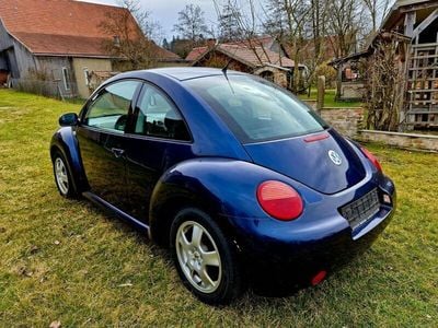 VW Beetle