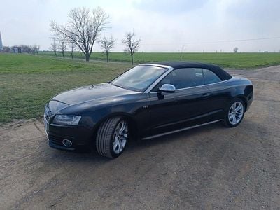 Usado Audi Cabriolet Sport 333 HP (244 kW) 2010 Preto Cabrios