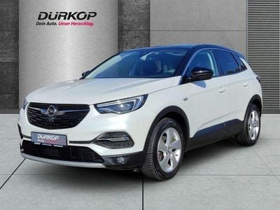 Gebraucht Opel Grandland X Ultimate 131 PS (96 kW) 2020 Weiß SUV