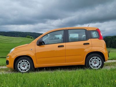 gebraucht Fiat Panda MY21 Hybrid 1.0 GSE