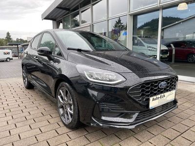 Gebraucht Ford Fiesta ST-Line X 101 PS (74 kW) 2023 Grau Kleinwagen