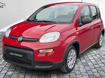 Gebraucht Fiat Panda 69 PS (50 kW) 2024 Rot Kleinwagen