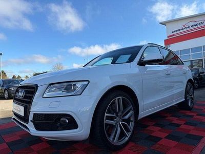 Gebraucht Audi SQ5 Competition 326 PS (239 kW) 2017 Weiß SUV