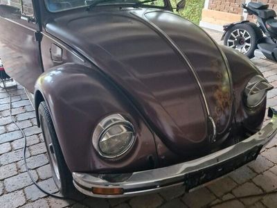 gebraucht VW Käfer 