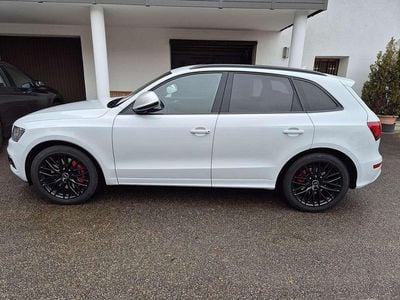 Usata Audi SQ5 Competition 326 CV (239 kW) 2016 SUV