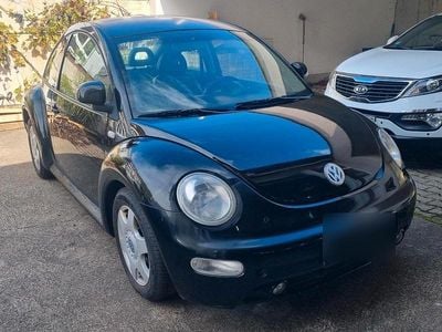 VW Beetle