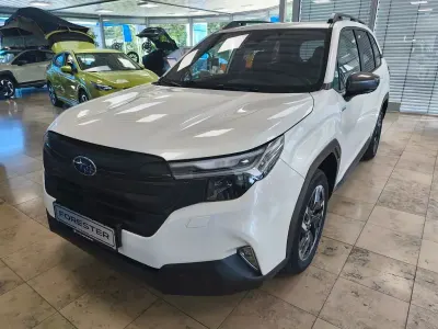 Gebraucht Subaru Forester