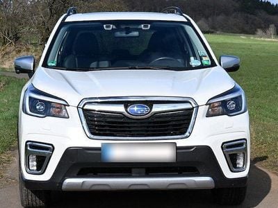 Gebraucht Subaru Forester Platinum 150 PS (110 kW) 2020 Weiß SUV