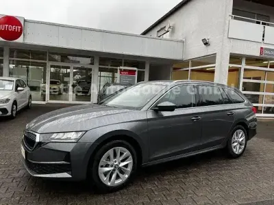 Neu Skoda Octavia Selection 150 PS (110 kW) 2025 Grau Kombi