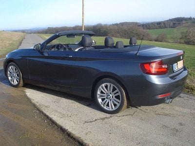 Begagnad BMW 220 Advantage 190 HK (139 kW) 2015 Grå Cab
