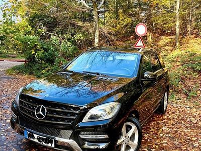 Mercedes ML250