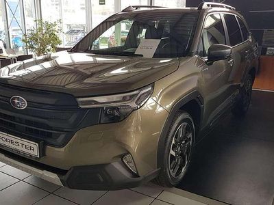 Nuova Subaru Forester Exclusive+ 136 CV (100 kW) 2025 Marrone SUV