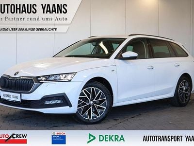 Gebraucht Skoda Octavia 150 PS (110 kW) 2022 Weiß Limousine