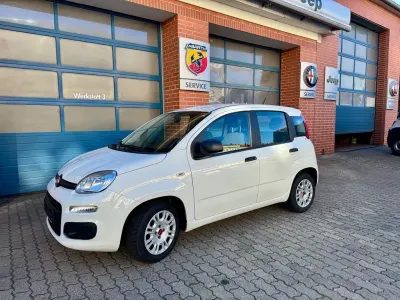 Second-hand Fiat Panda 69 CP (50 kW) 2022 Alb Hatchback
