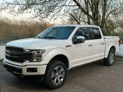 Brugt Ford F-150 Platinum 381 HK (280 kW) 2019 Sort Pickup / Ladvogn
