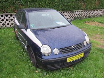VW Polo