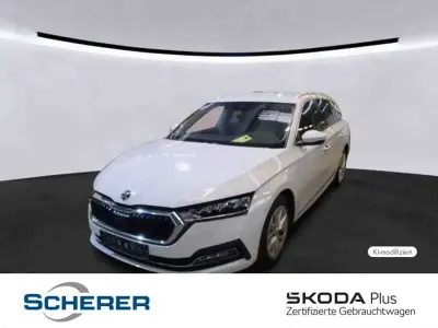 Gebraucht Skoda Octavia Style 150 PS (110 kW) 2021 Moonweiß perleffekt (metallic) Limousine