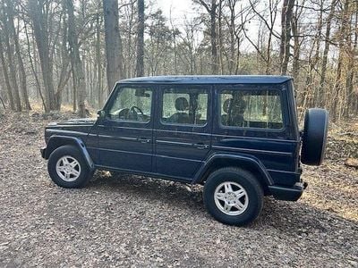 Gebraucht Mercedes G270 156 PS (114 kW) 2006 Blau SUV