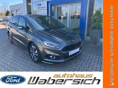 Usata Ford S-MAX ST-Line 190 CV (139 kW) 2019 Grigio Monovolume