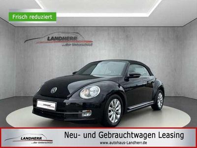 VW Beetle