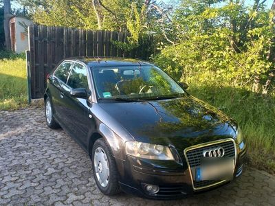 gebraucht Audi A3 1.6 Benzin er zahnrimmen neu