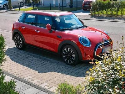 Gebraucht Mini Cooper 136 PS (100 kW) 2021 Rot Kleinwagen