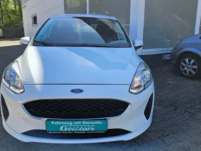 Usata Ford Fiesta Trend 71 CV (52 kW) 2019 Bianco Utilitaria