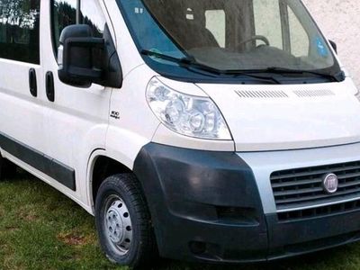 Usata Fiat Ducato 2011 Bianco Furgone