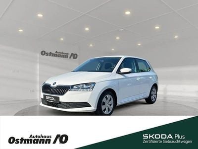 Weiß Gebraucht 2021 Skoda Fabia Cool Plus Kleinwagen | 11.980 € (Fairer Preis)