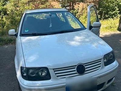 VW Polo