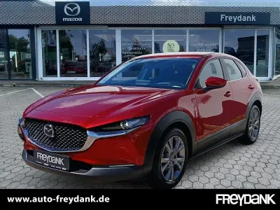 Gebraucht Mazda CX-30 Center-Line 140 PS (102 kW) 2025 Soul red crystal m SUV