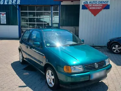 Gebraucht VW Polo 75 PS (55 kW) 1995 Grün Kleinwagen