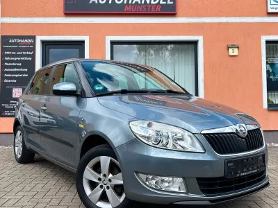 Gebraucht Skoda Fabia Fresh 70 PS (51 kW) 2013 Grau Limousine