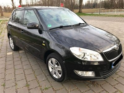 gebraucht Skoda Fabia 1.2l TSI 63kW Fresh Fresh