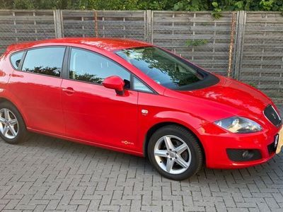 gebraucht Seat Leon 1.2 TSI Ecomotive Reference Copa Refere...