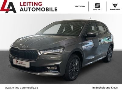 Grau Gebraucht 2025 Skoda Fabia Tour Kleinwagen | 24.946 € (Teuer)