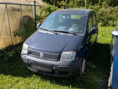 Occasion Fiat Panda 52 ch (38 kW) 2010 Noir Citadine
