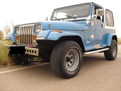Gebraucht Jeep Wrangler 121 PS (88 kW) 1989 Blau SUV